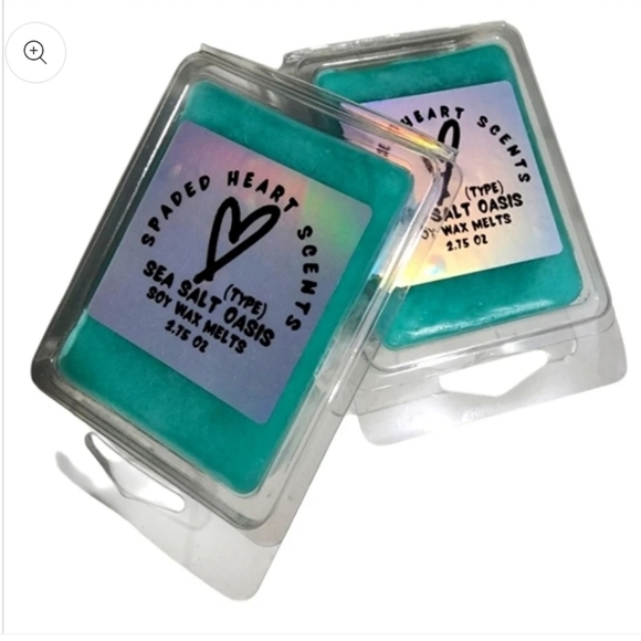 Sea Salt Oasis (type) Wax Melts (Handcrafted) - Picture 4 of 4
